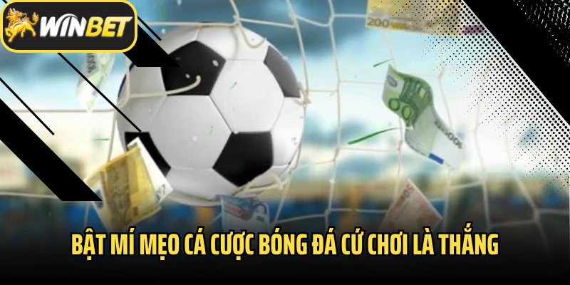 Bật mí mẹo cá cược bóng đá cứ chơi là thắng