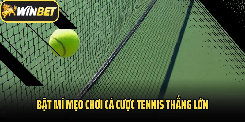 Bật mí mẹo chơi cá cược tennis thắng lớn