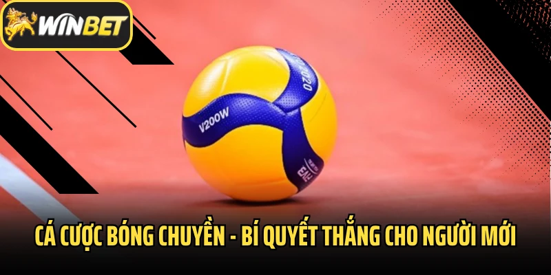Cá Cược Bóng Chuyền