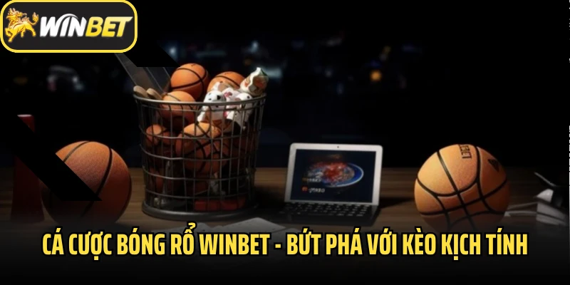 Cá Cược Bóng Rổ