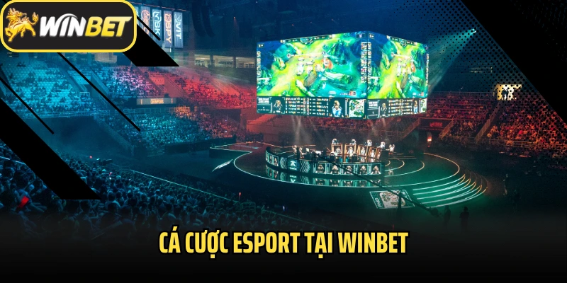 Cá Cược eSport