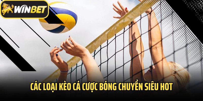Các loại kèo cá cược bóng chuyền siêu hot