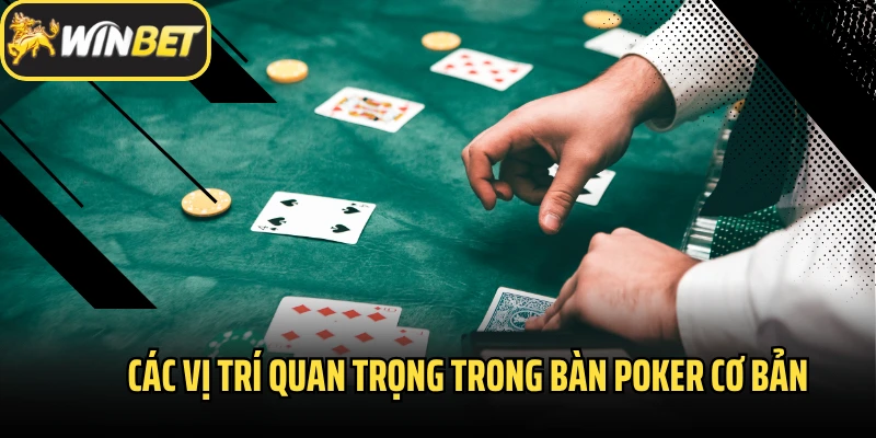 Các vị trí quan trọng trong bàn Poker cơ bản