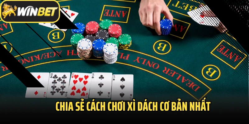 Chia sẻ cách chơi Xì Dách cơ bản nhất