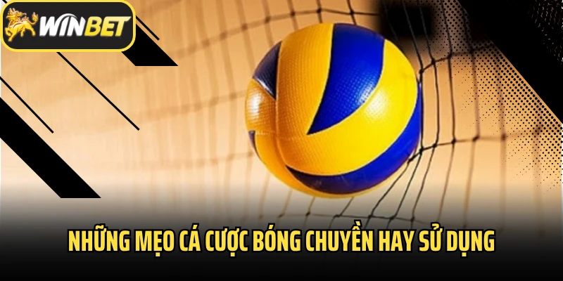 Những mẹo cá cược bóng chuyền hay sử dụng