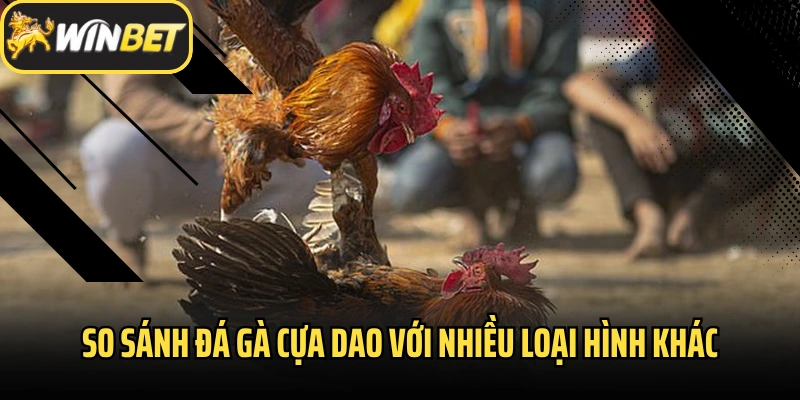 So sánh đá gà cựa dao với nhiều loại hình khác