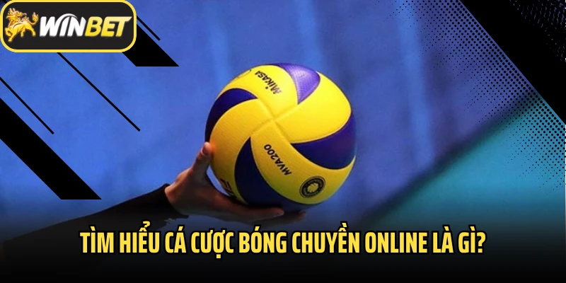 Tìm hiểu cá cược bóng chuyền online là gì?