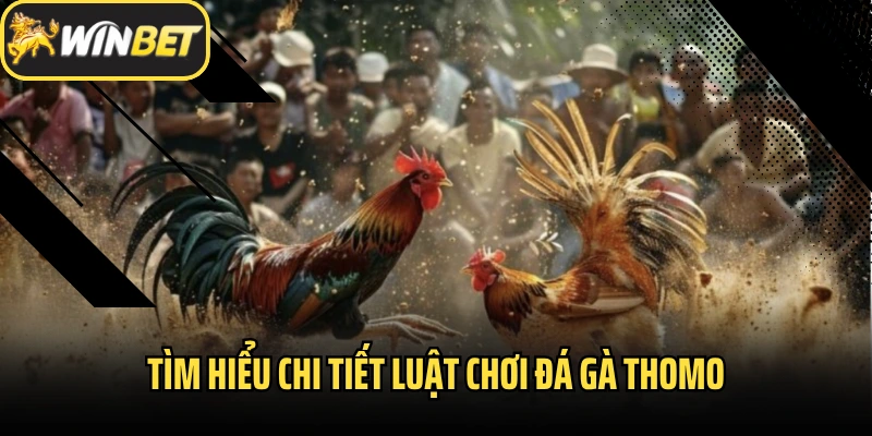 Tìm hiểu chi tiết luật chơi đá gà Thomo