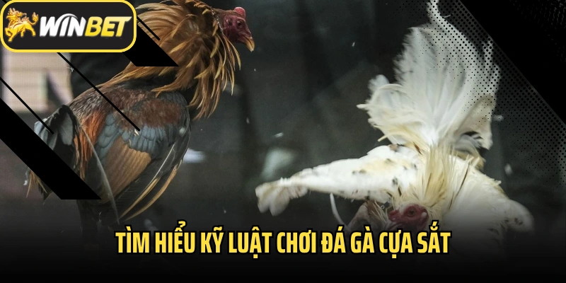 Tìm hiểu kỹ luật chơi đá gà cựa sắt