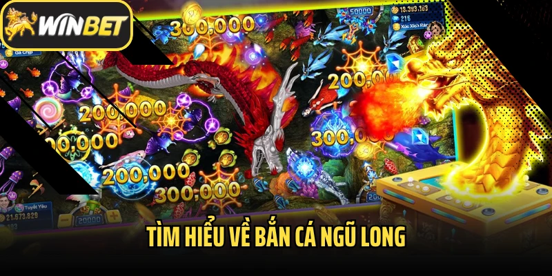 Tìm hiểu về bắn cá Ngũ Long