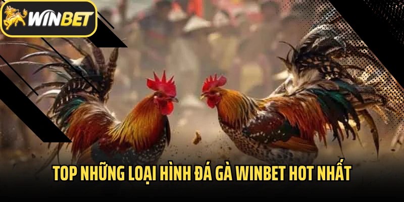 Top những loại hình đá gà Winbet hot nhất